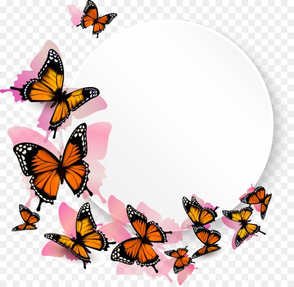 Фоторамка с бабочками