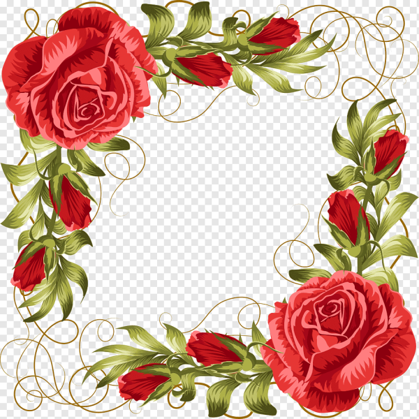 Фон рамка цветы розы