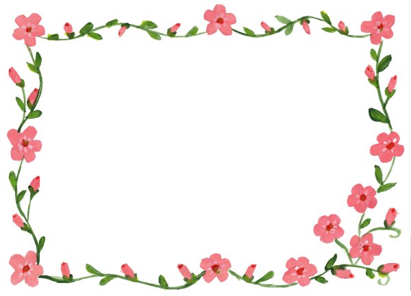 Рамка цветы на прозрачном фоне