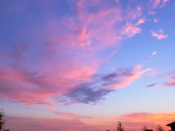 Розовое небо фото