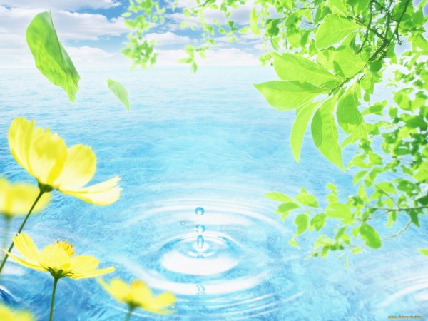Фон растений в воде