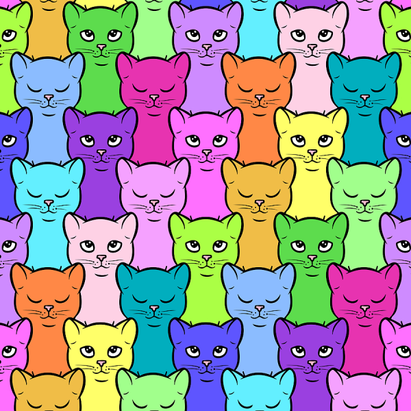 Разноцветные котики много