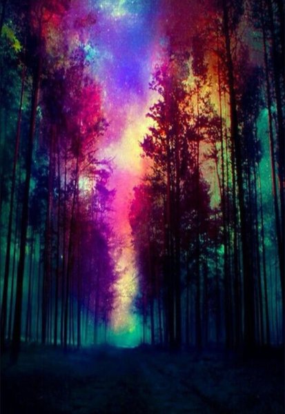 Фон разноцветный лес