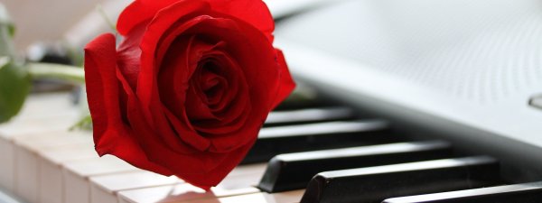 Фортепиано и цветы