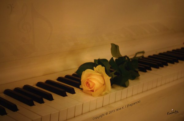 Цветы на рояле