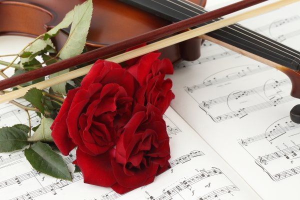 Рояль скрипка цветы