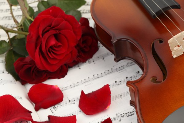 Фон розы и ноты