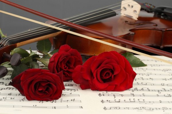 Скрипка Ноты розы