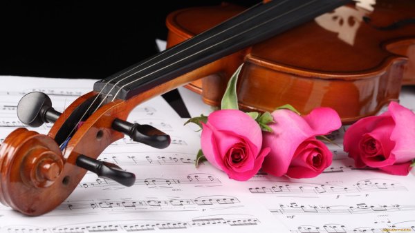 Фон розы и скрипка