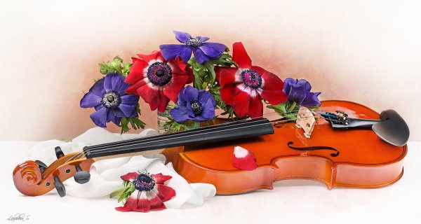 Скрипка с цветами
