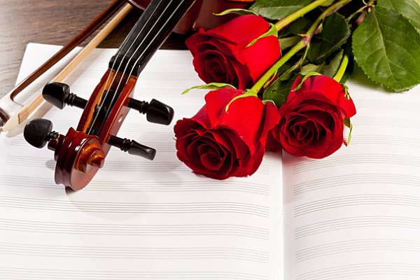 Фото Нотная тетрадь скрипка роза наушники