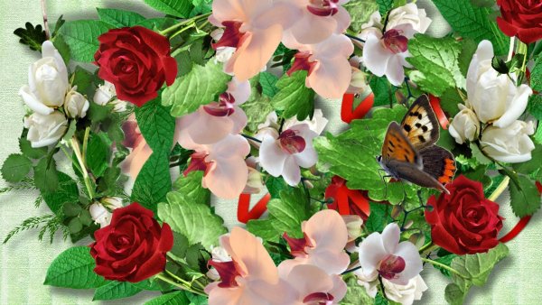 Фон розы с бабочками