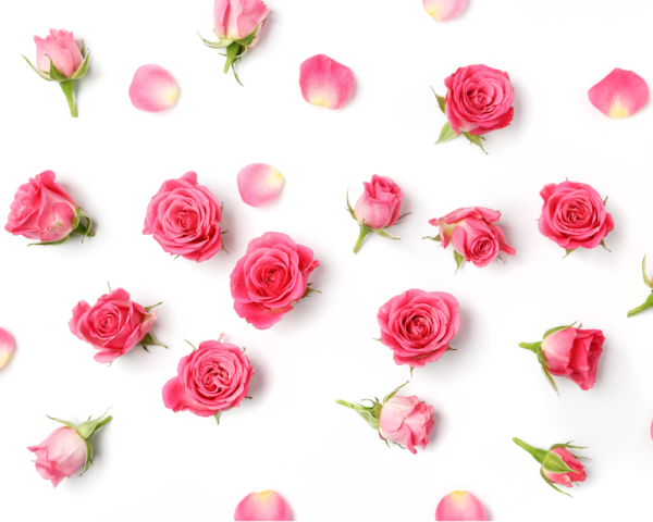 Розовые мелкие цветочки на белом фоне