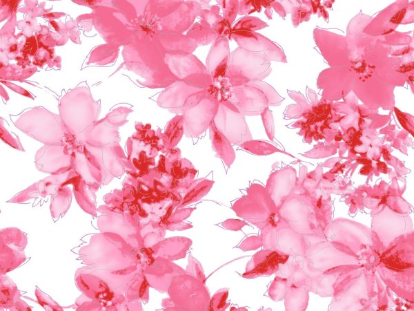 Фон розовые цветы нарисованные