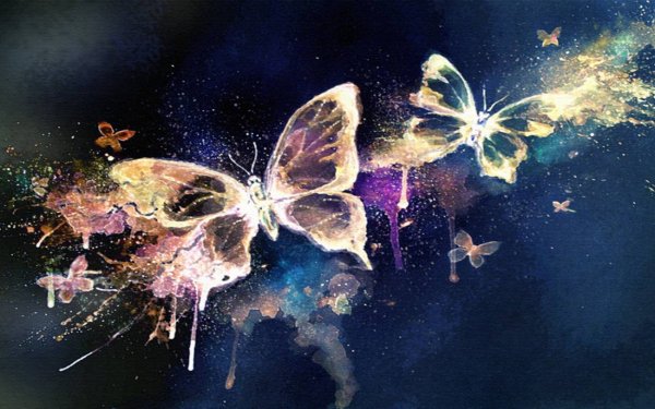 Красивые волшебные бабочки