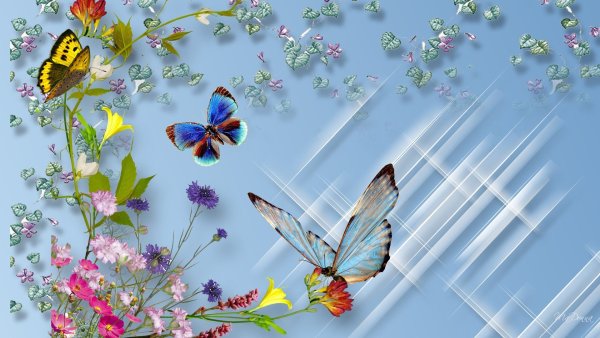 Фон с бабочками для открытки