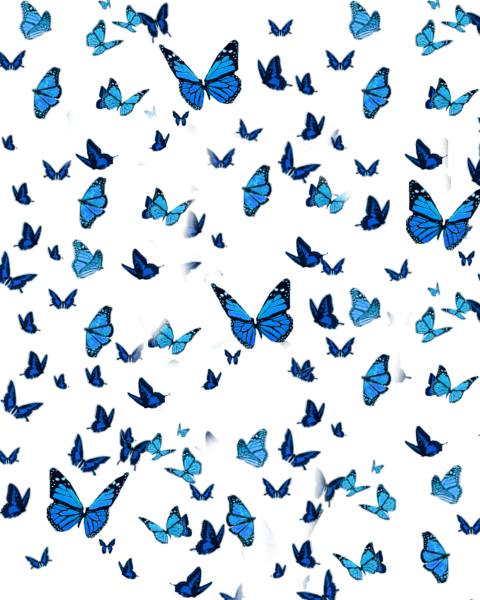 Много маленьких бабочек
