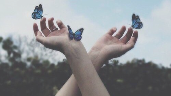 Синяя бабочка на руке