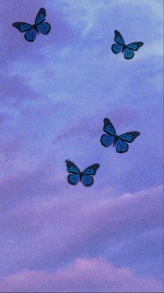 Бабочки из пинтереста