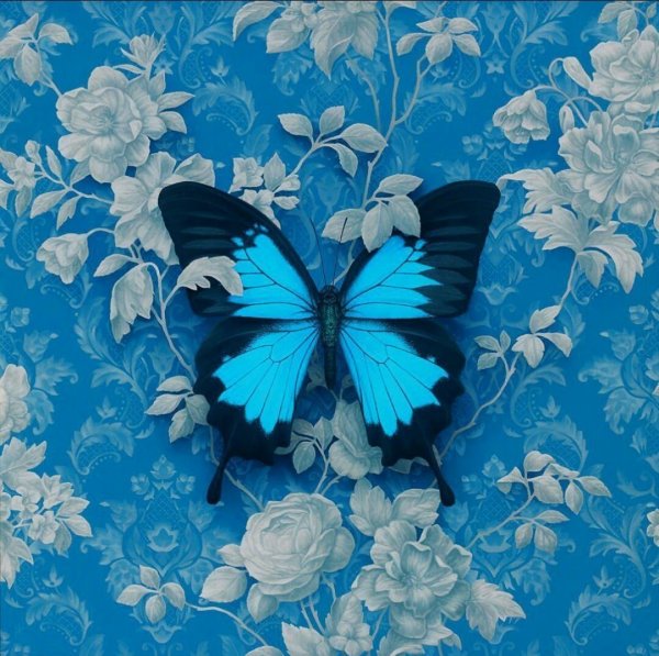 Фон с голубыми бабочками эстетика