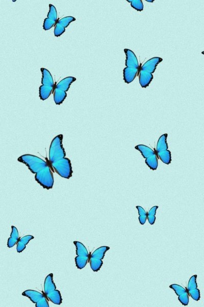 Бабочка на голубом