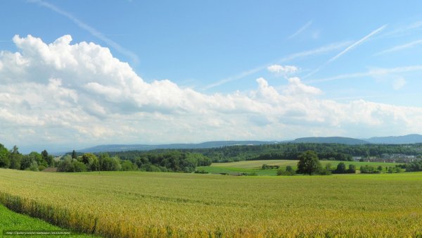 Панорамный пейзаж