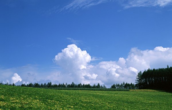 Фон с облаками в деревне