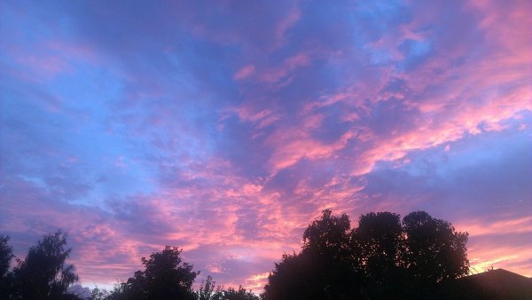Вечернее небо розовые облака