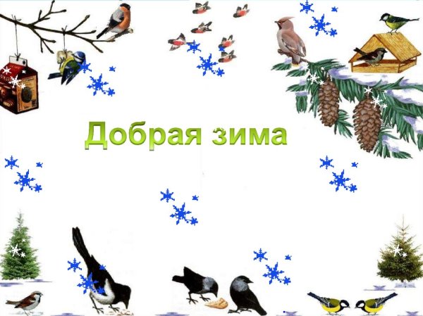 Рамка птицы зимой