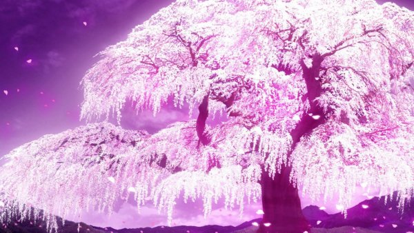 Япония Сакура аниме дерево