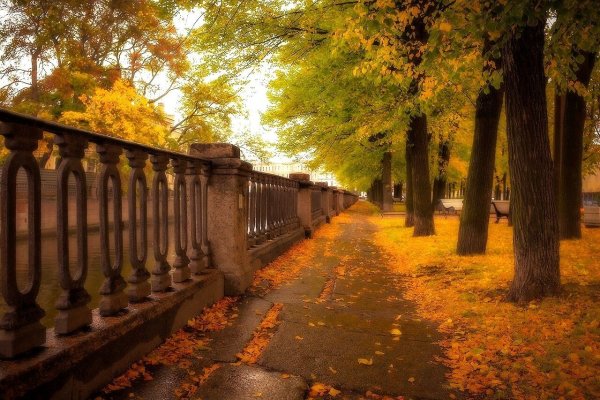 Канонерский парк Санкт-Петербург осень