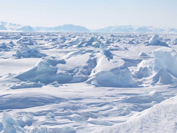 Северный полюс Арктическая пустыня