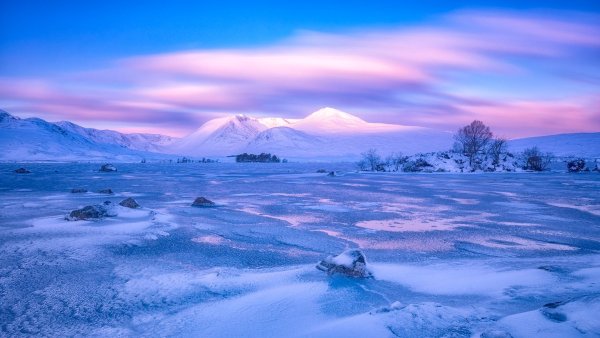 Арктическая пустыня и тундра