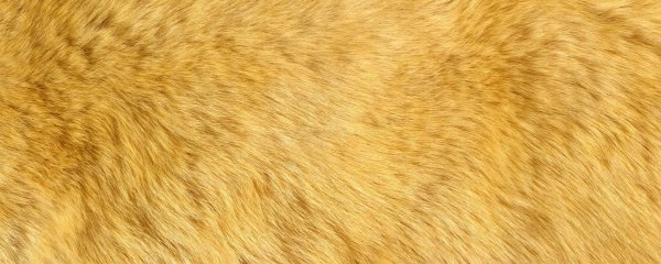 Кошачья шерсть текстура
