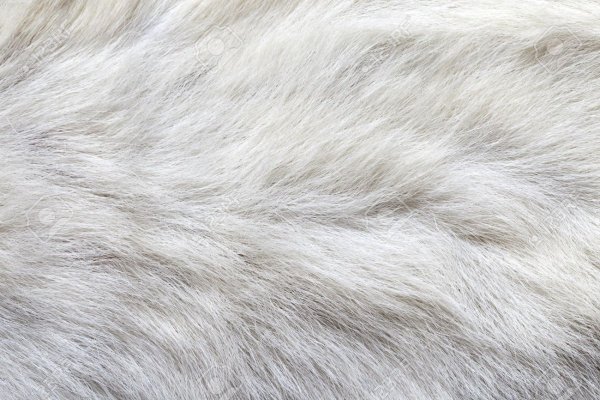 Белая Кошачья шерсть