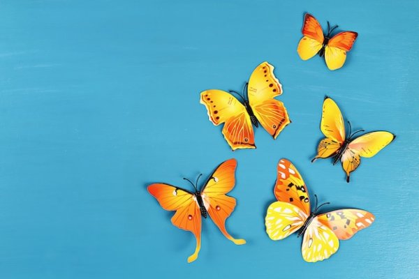 Желтая бабочка на синем фоне