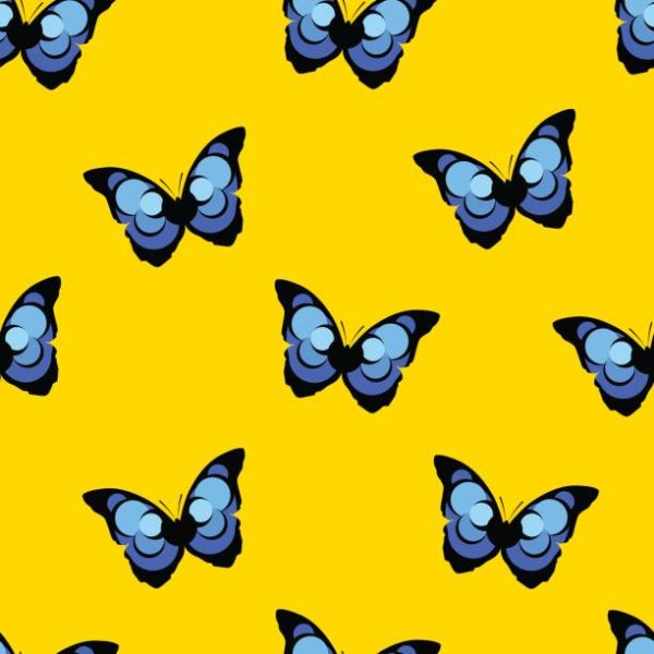 Желто голубая бабочка