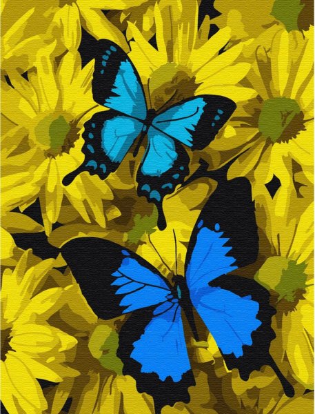 Желто голубая бабочка