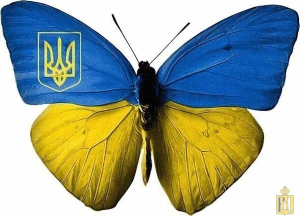 Бабочка на украинском