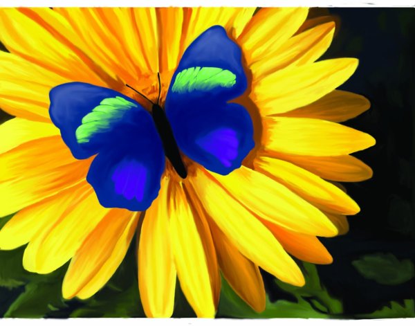 Фон сине желтая бабочка