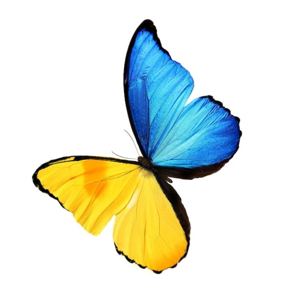 Бабочка мультяшная желто-синяя