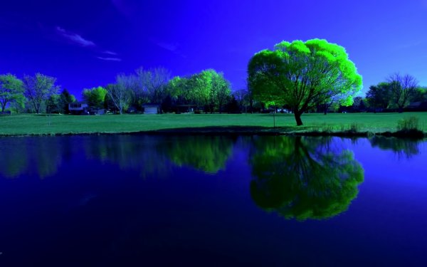 Голубой и зеленый природа