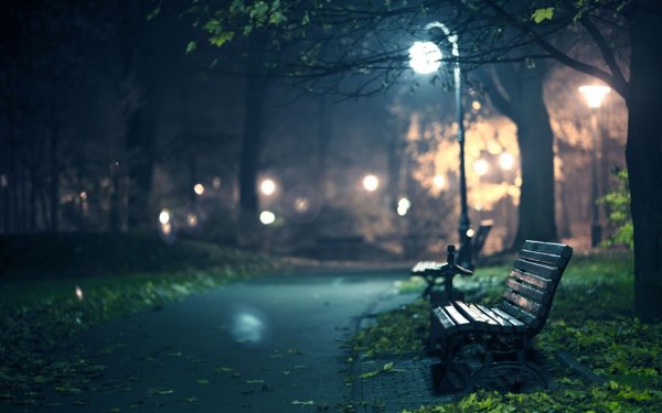 Скамейка в парке ночью