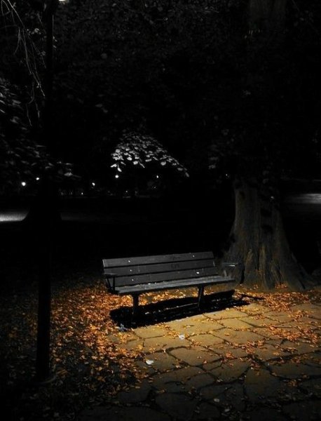 Парк со скамейкой ночью