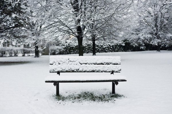 Скамейка в парке зимой