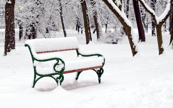 Скамейка в зимнем парке