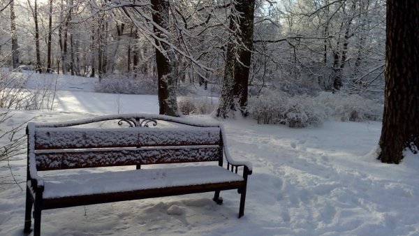 Заснеженная скамейка