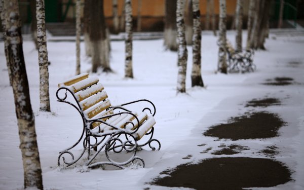 Зима скамейка