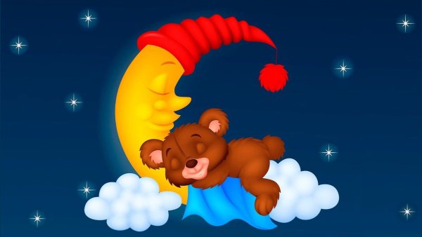 Спокойной ночи, Медвежонок!