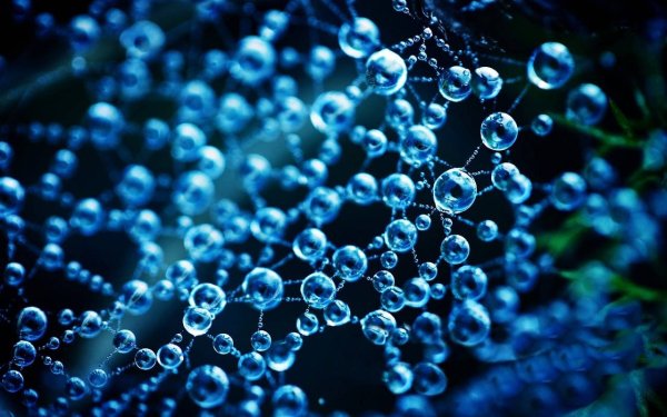 Молекула воды